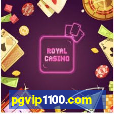 pgvip1100.com