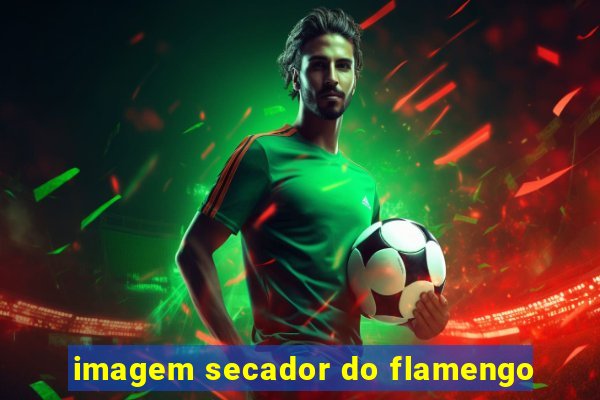 imagem secador do flamengo