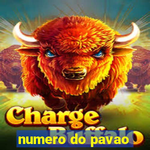 numero do pavao