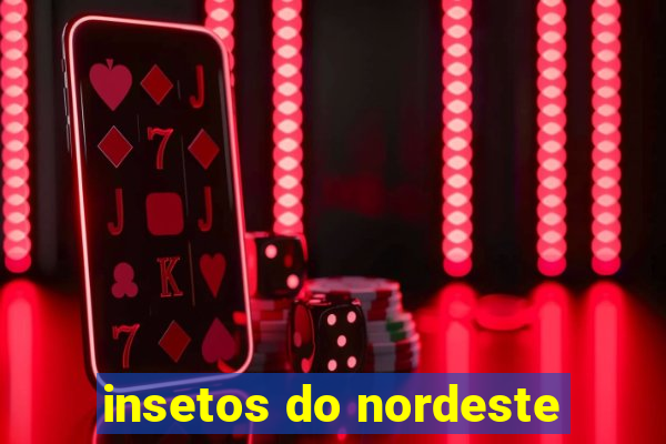 insetos do nordeste