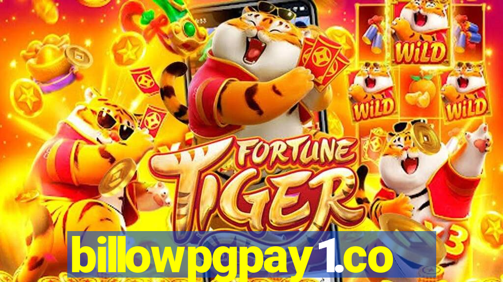 billowpgpay1.com