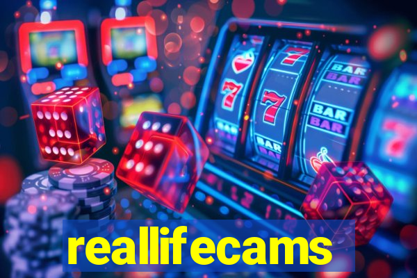 reallifecams