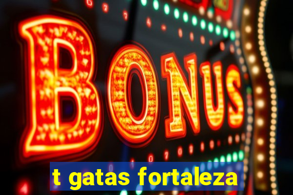 t gatas fortaleza