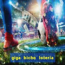 giga bicho loteria dos sonhos