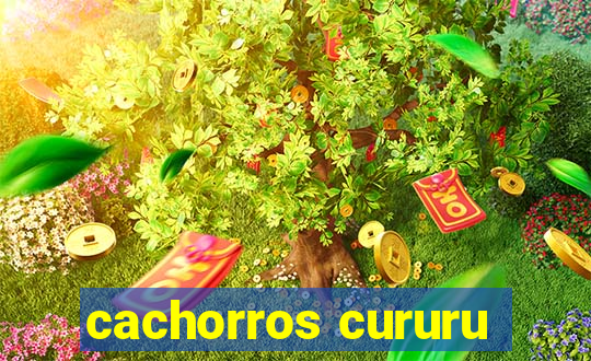 cachorros cururu