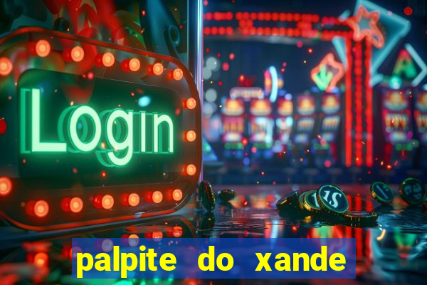 palpite do xande de hoje