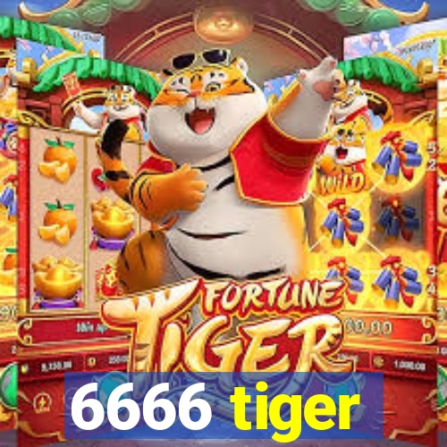 6666 tiger