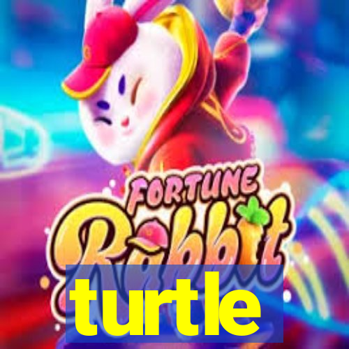 turtle-ty.com